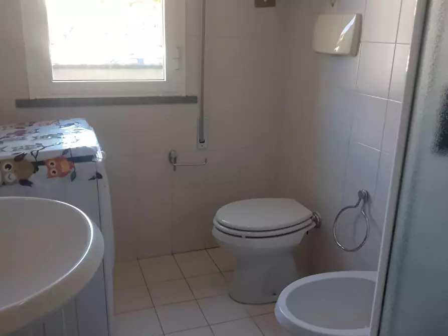 Immagine 7 di Appartamento in affitto  a Camaiore