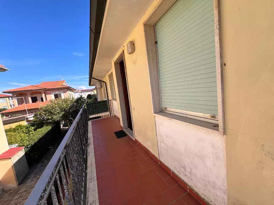 Immagine 4 di Appartamento in vendita  a Cecina
