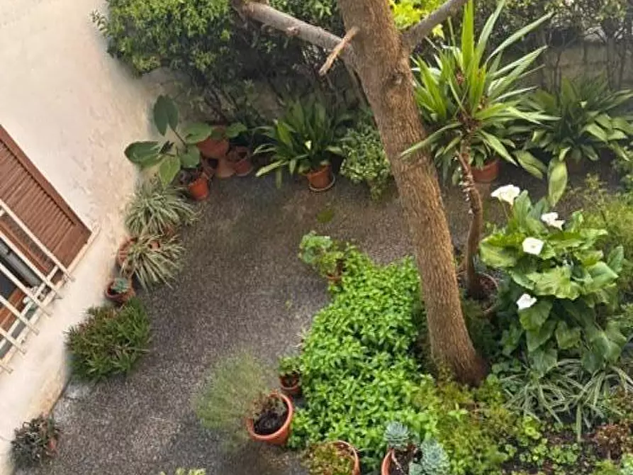 Immagine 11 di Appartamento in vendita  a Calcinaia