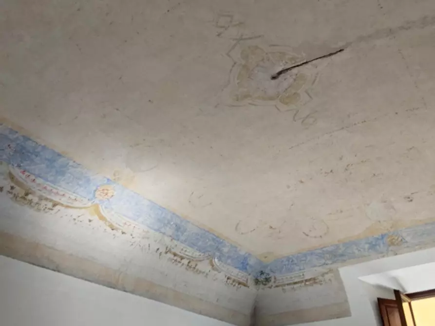 Immagine 4 di Appartamento in affitto  a Pisa