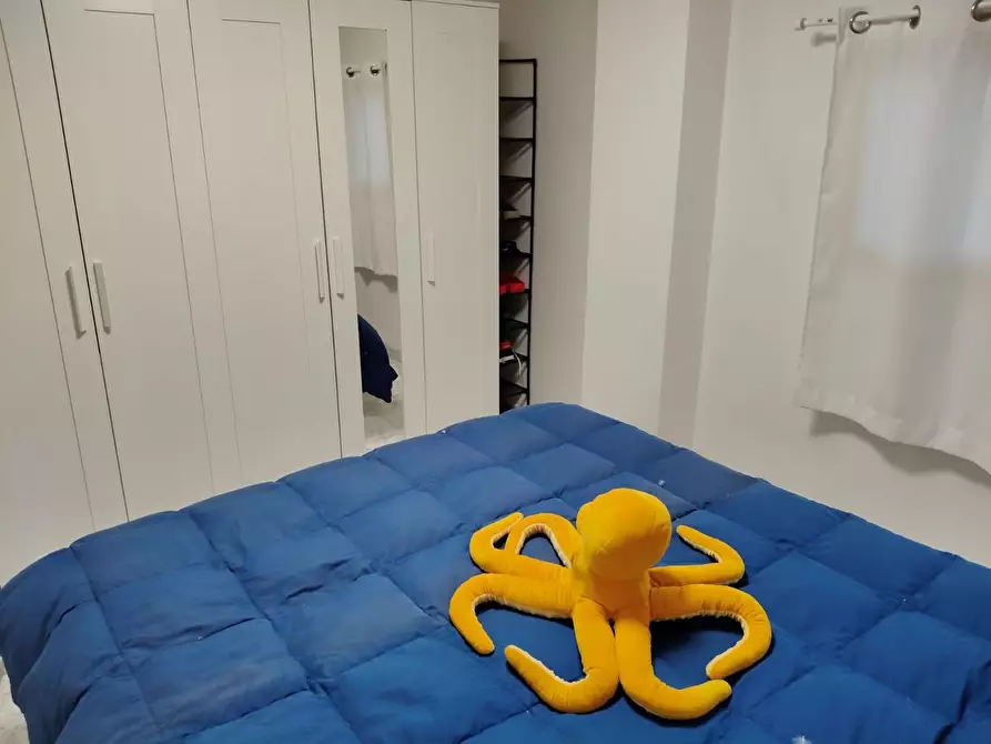 Immagine 6 di Appartamento in affitto  a Rosignano Marittimo