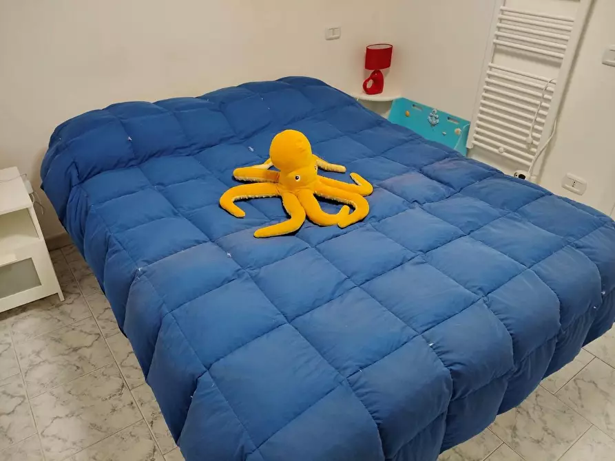 Immagine 5 di Appartamento in affitto  a Rosignano Marittimo