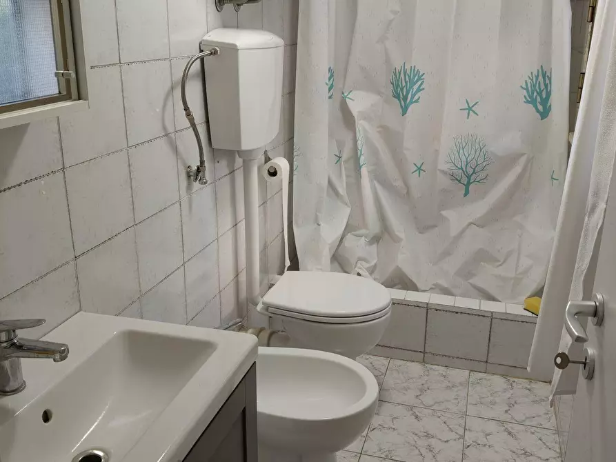 Immagine 9 di Appartamento in affitto  a Rosignano Marittimo
