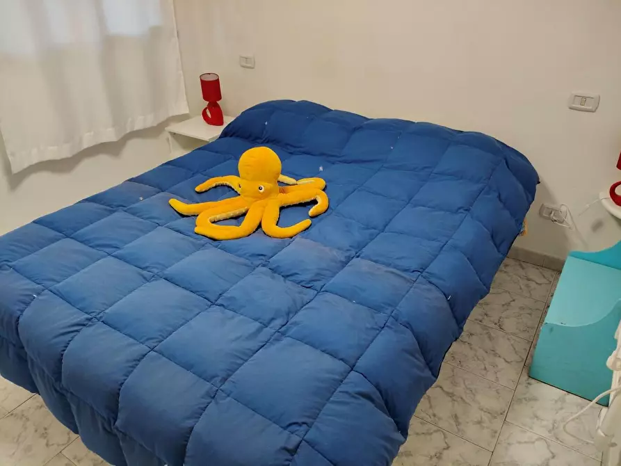 Immagine 7 di Appartamento in affitto  a Rosignano Marittimo