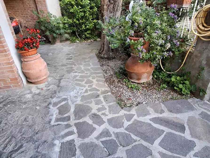 Immagine 16 di Appartamento in vendita  a Empoli