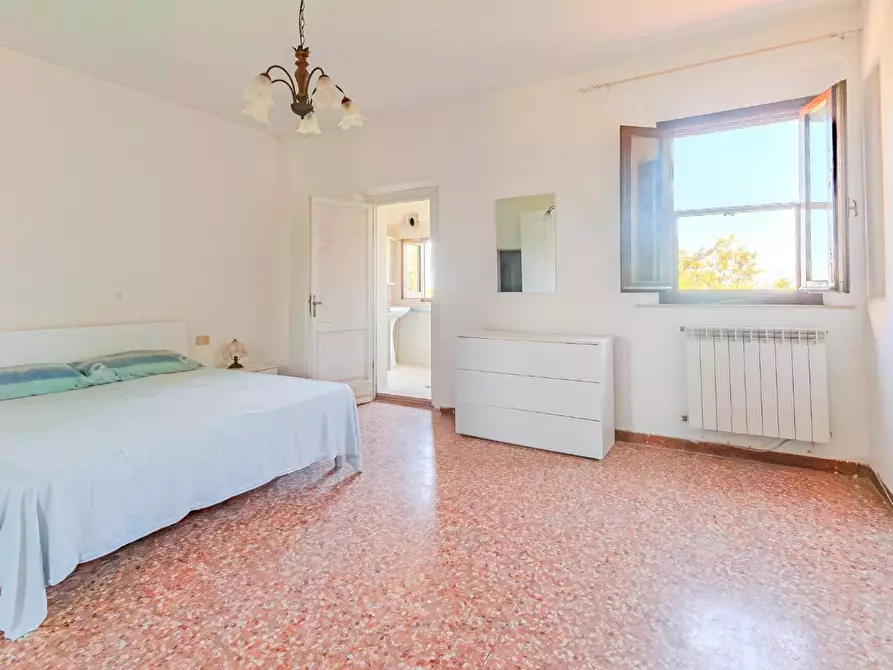 Immagine 2 di Terratetto in vendita  a San Miniato