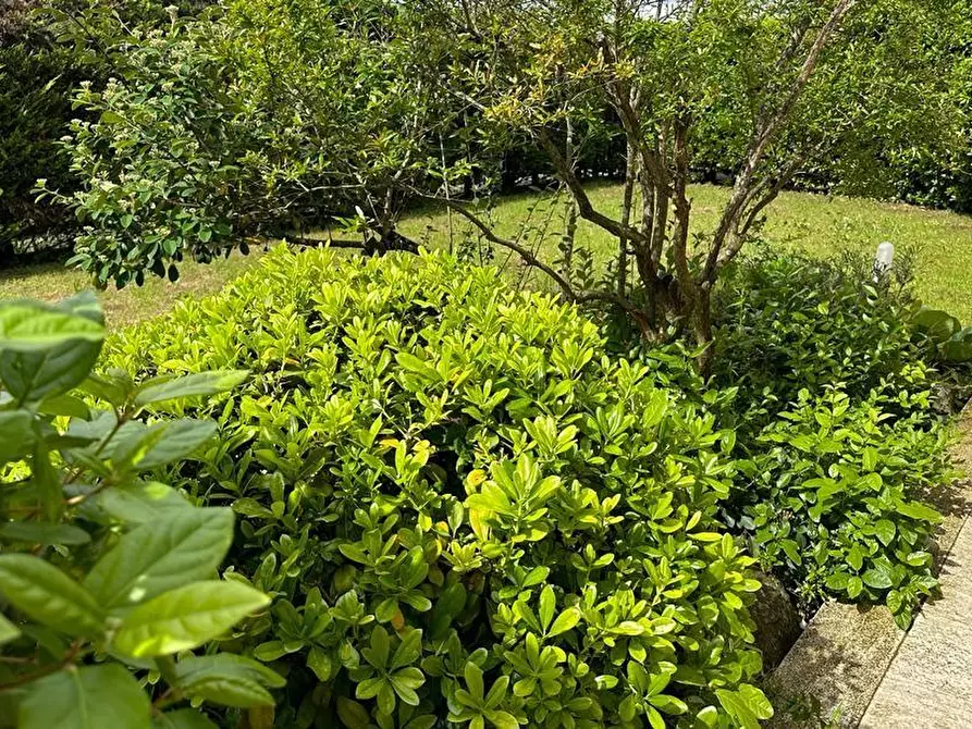 Immagine 46 di Villa in vendita  a Cerreto Guidi