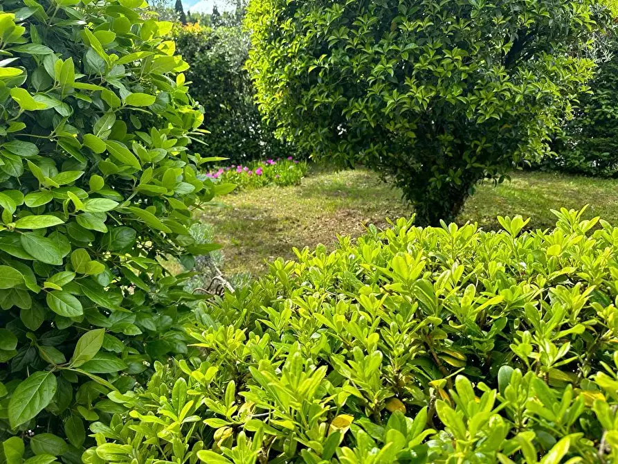 Immagine 1 di Villa in vendita  a Cerreto Guidi