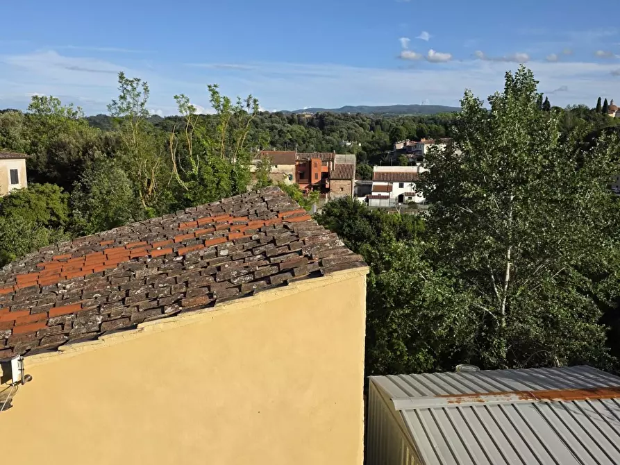 Immagine 24 di Terratetto in vendita  a Crespina Lorenzana