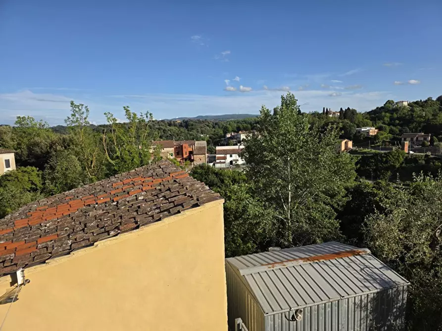 Immagine 23 di Terratetto in vendita  a Crespina Lorenzana