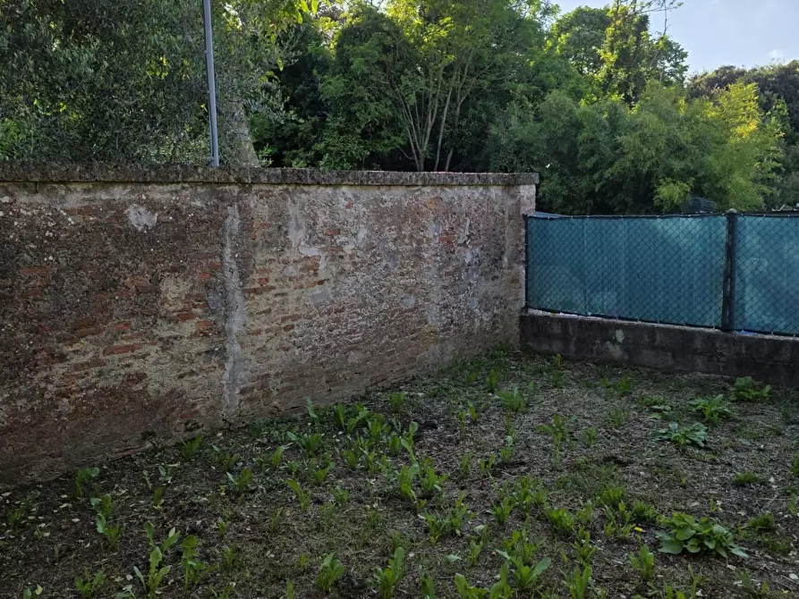 Immagine 10 di Terratetto in vendita  a Crespina Lorenzana