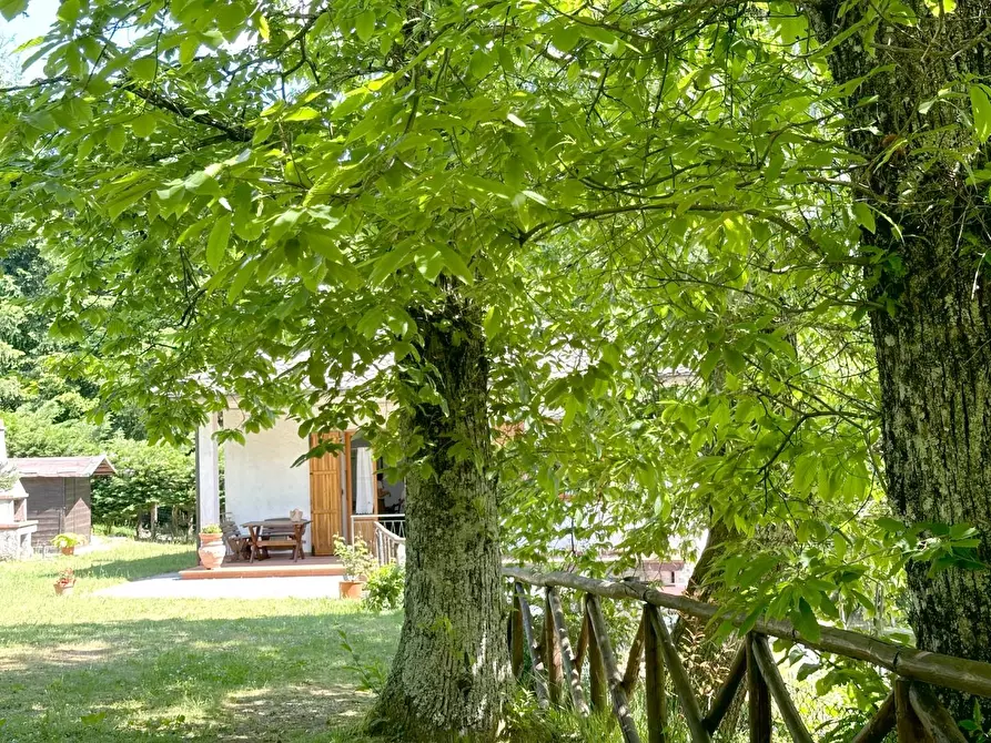 Immagine 22 di Casa bifamiliare in vendita  a Marliana