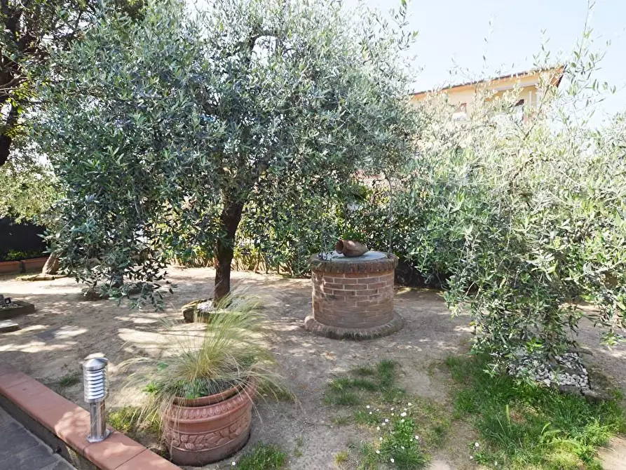 Immagine 22 di Villa in vendita  a Pescia