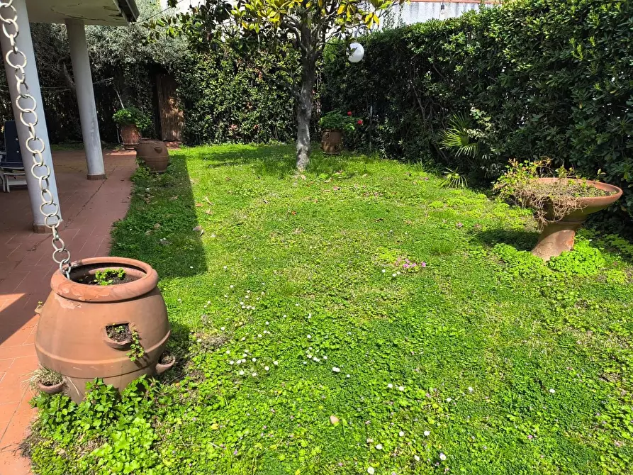 Immagine 15 di Appartamento in affitto  a Camaiore