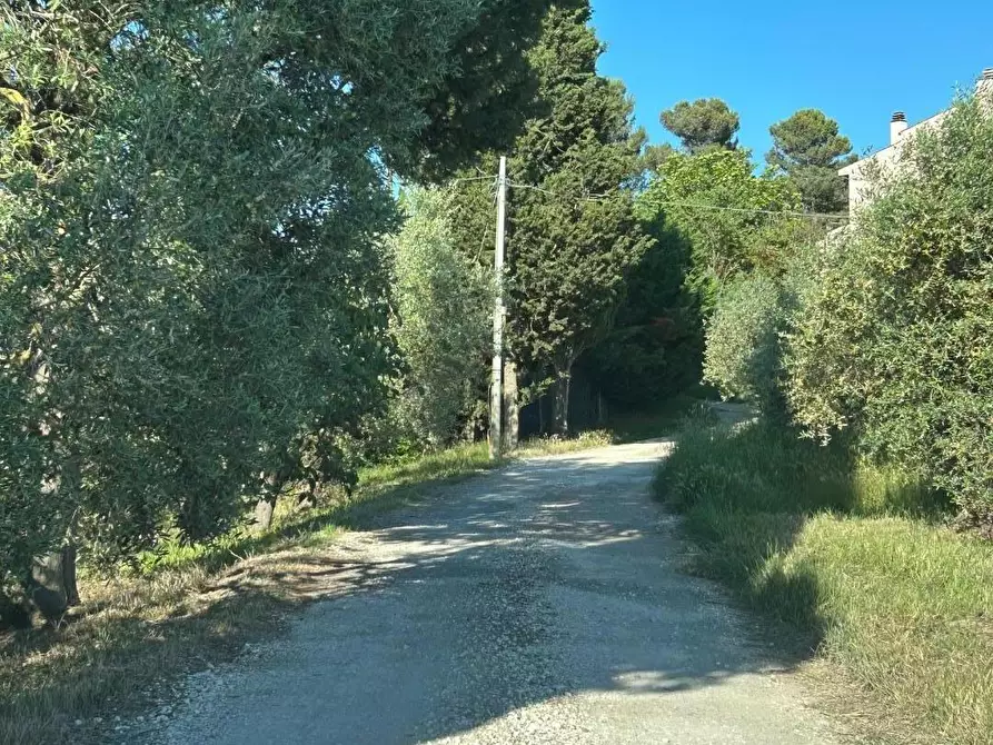 Immagine 30 di Villetta a schiera in affitto  a Empoli