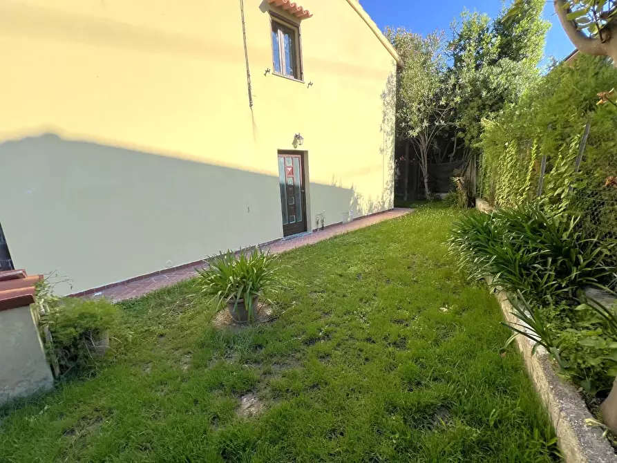Immagine 3 di Terratetto in vendita  a Pisa