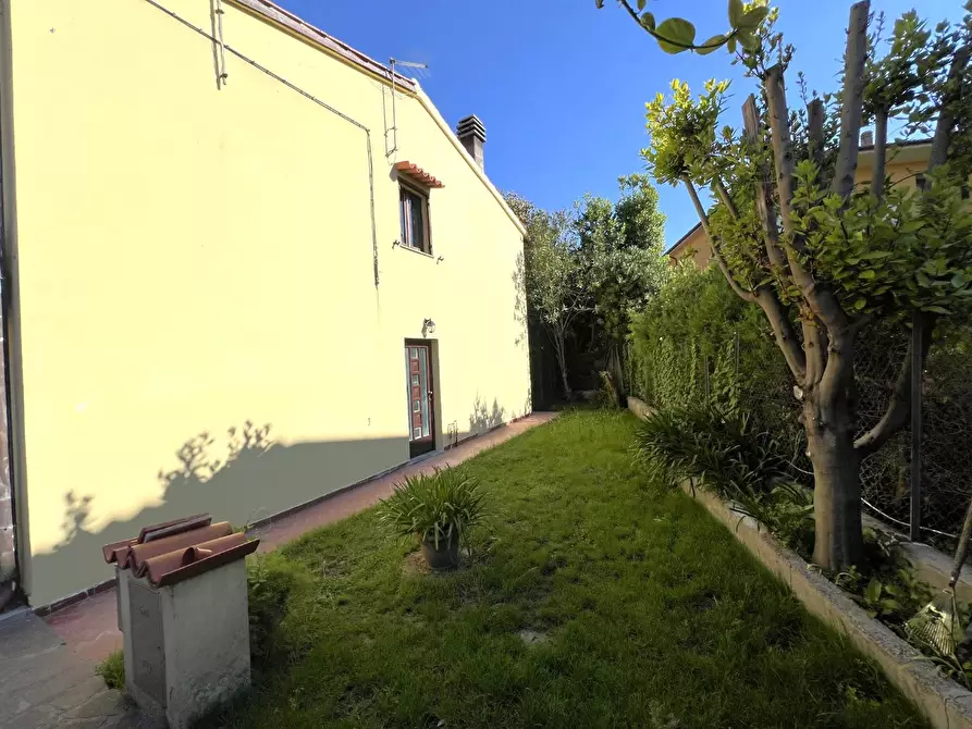 Immagine 19 di Terratetto in vendita  a Pisa