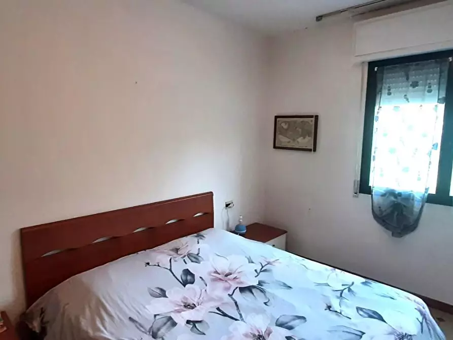 Immagine 15 di Appartamento in vendita  a Rosignano Marittimo
