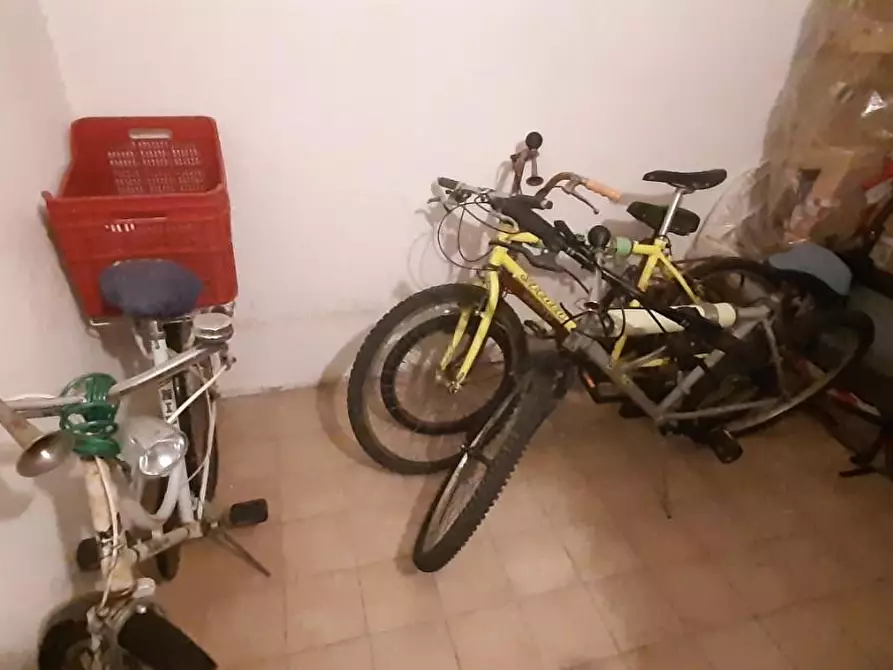 Immagine 31 di Appartamento in vendita  a Rosignano Marittimo