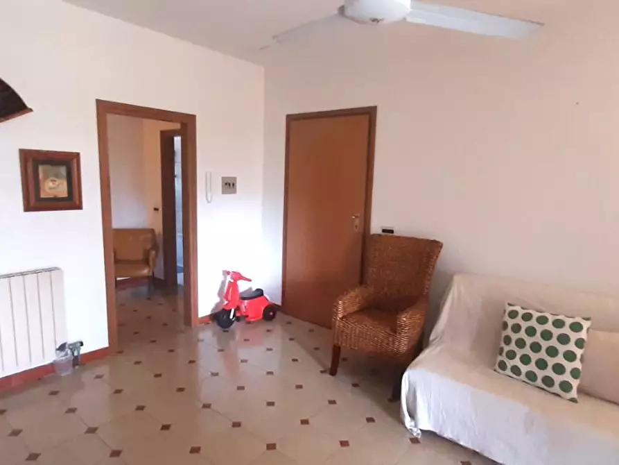 Immagine 13 di Appartamento in vendita  a Rosignano Marittimo