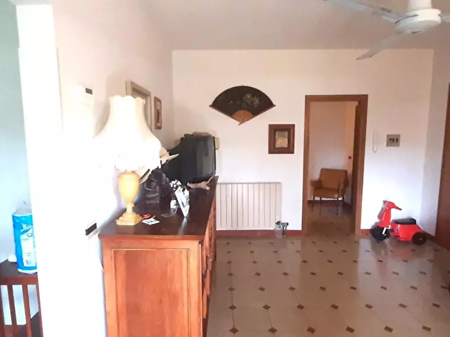 Immagine 14 di Appartamento in vendita  a Rosignano Marittimo