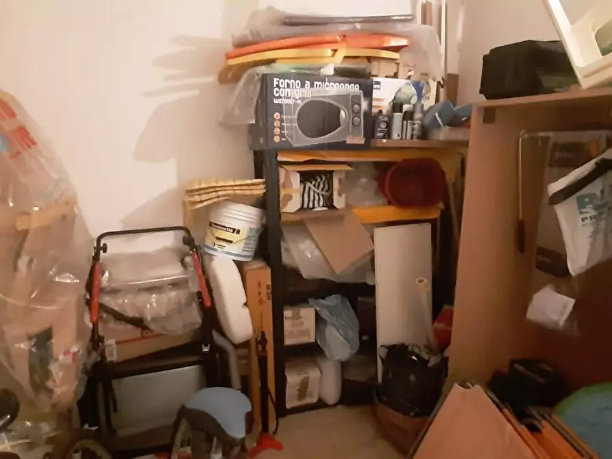 Immagine 32 di Appartamento in vendita  a Rosignano Marittimo