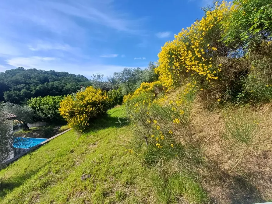 Immagine 8 di Villa in affitto  a Castelnuovo Magra