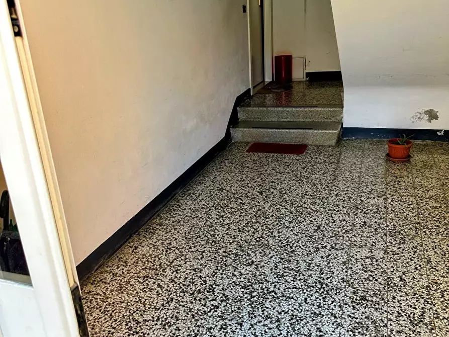 Immagine 3 di Appartamento in vendita  a Campiglia Marittima
