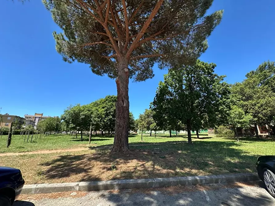 Immagine 11 di Appartamento in vendita  a Campiglia Marittima