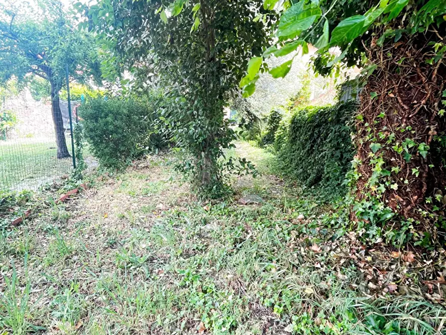 Immagine 7 di Villa in vendita  a Vicopisano