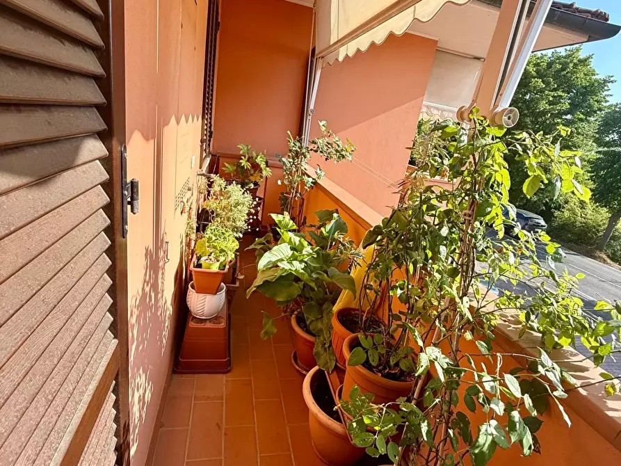 Immagine 8 di Appartamento in vendita  a Ponsacco