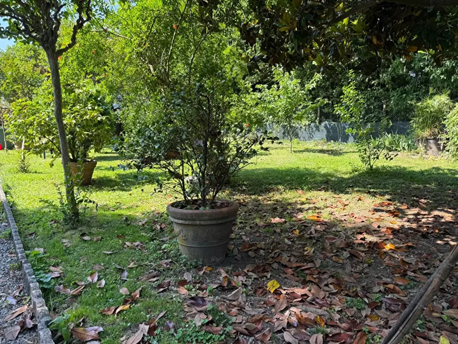 Immagine 4 di Terratetto in vendita  a Capannori