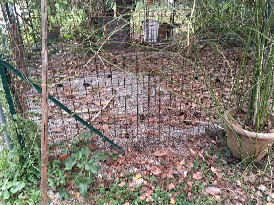 Immagine 31 di Terratetto in vendita  a Capannori