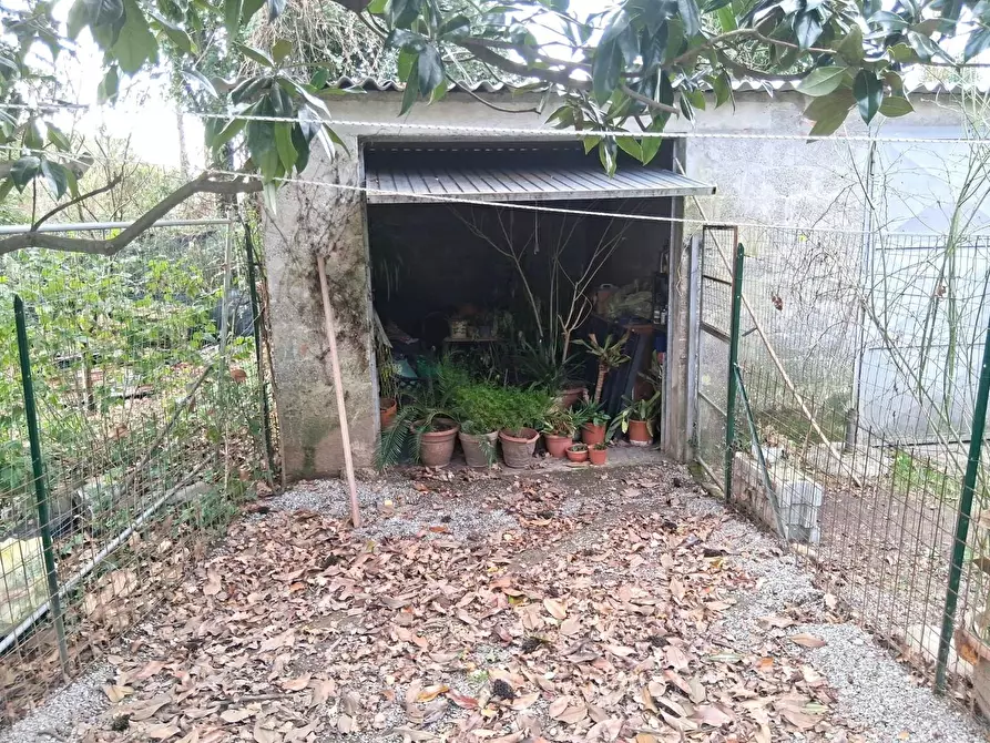 Immagine 29 di Terratetto in vendita  a Capannori