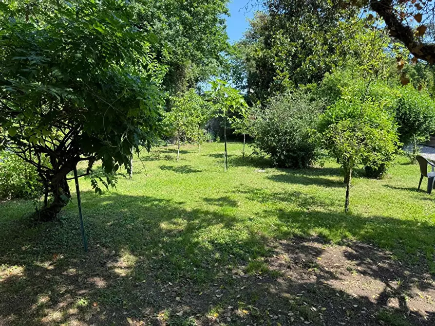 Immagine 3 di Terratetto in vendita  a Capannori
