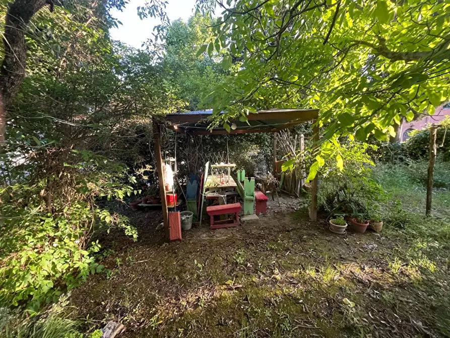 Immagine 17 di Casa semindipendente in vendita  a Terricciola