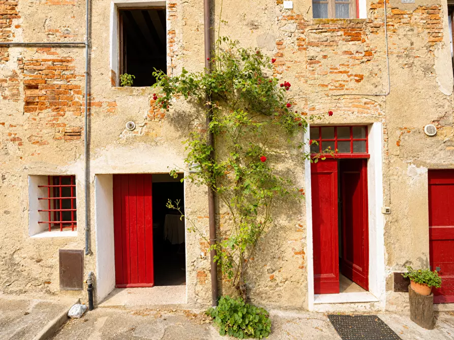 Immagine 3 di Casa semindipendente in vendita  a Terricciola