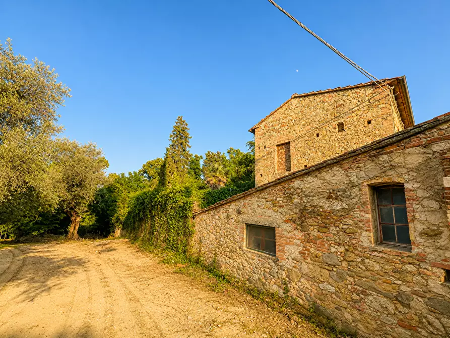 Immagine 5 di Casa semindipendente in vendita  a Terricciola