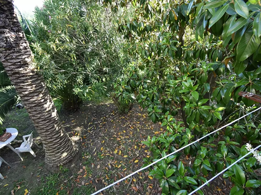 Immagine 7 di Casa bifamiliare in vendita  a Pisa
