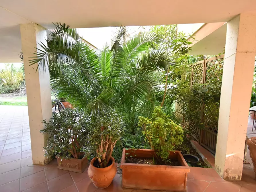 Immagine 26 di Casa bifamiliare in vendita  a Pisa
