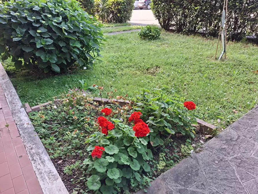 Immagine 24 di Appartamento in vendita  a Montelupo Fiorentino