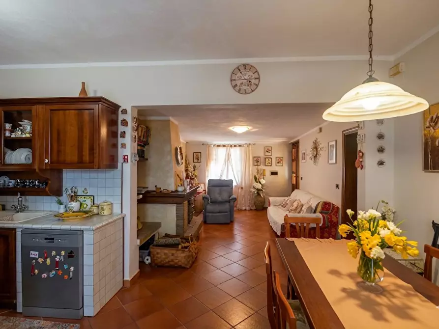 Immagine 3 di Casa colonica in vendita  a Fauglia