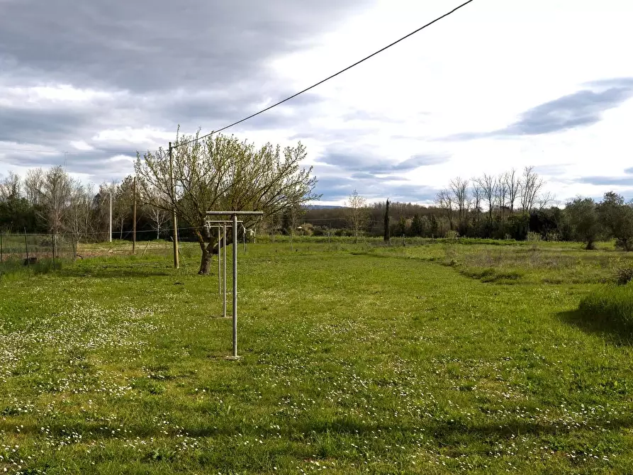 Immagine 17 di Casa colonica in vendita  a Fauglia