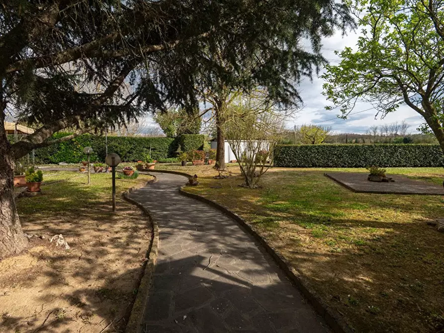 Immagine 19 di Casa colonica in vendita  a Fauglia