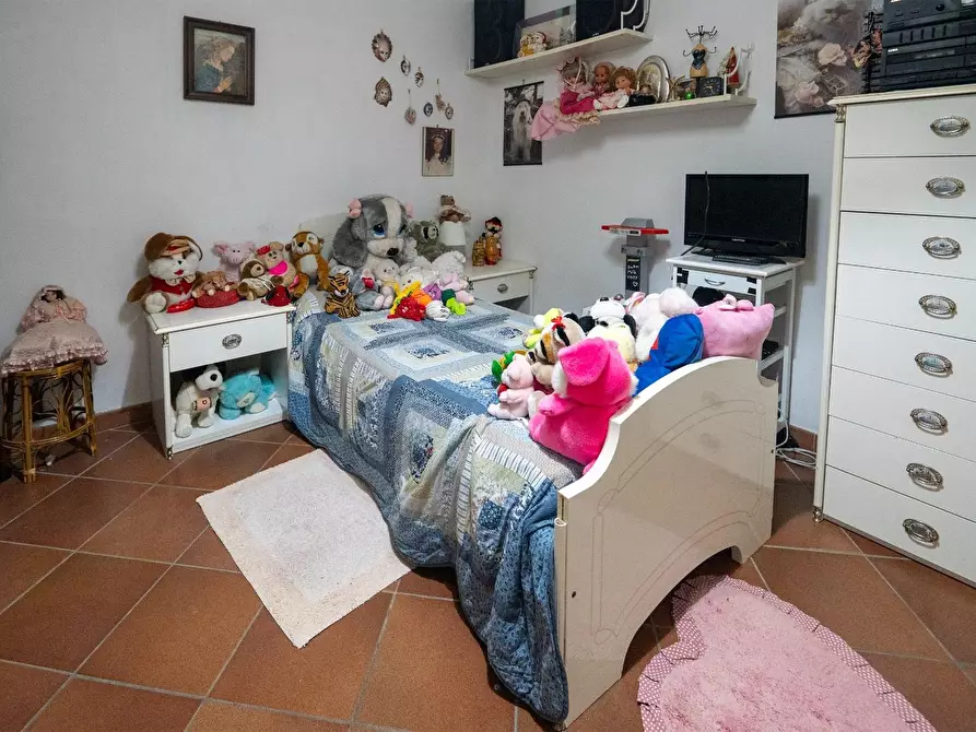 Immagine 10 di Casa colonica in vendita  a Fauglia