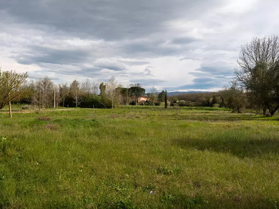 Immagine 15 di Casa colonica in vendita  a Fauglia