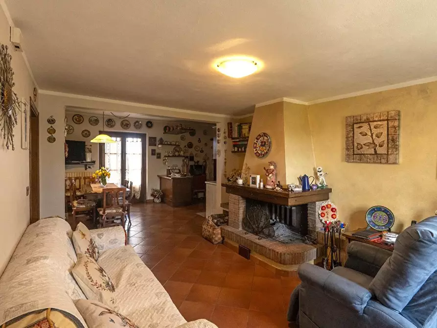 Immagine 4 di Casa colonica in vendita  a Fauglia