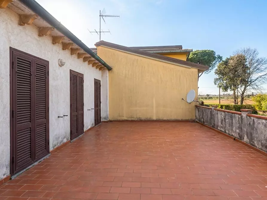 Immagine 6 di Casa colonica in vendita  a Fauglia