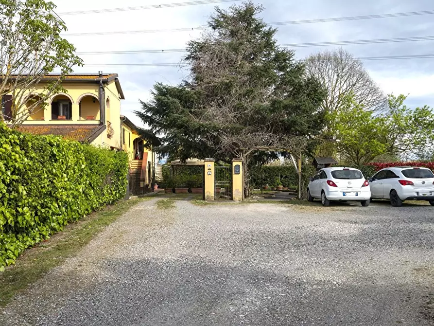 Immagine 21 di Casa colonica in vendita  a Fauglia