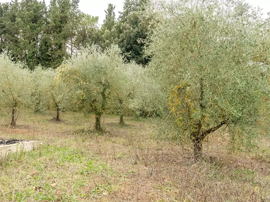 Immagine 14 di Casa indipendente in vendita  a Monteriggioni